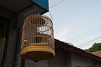 《星空》预购开启标准版售298元 PC配置需求公布